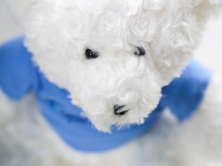 White cute teddy bear doll in blue shirt