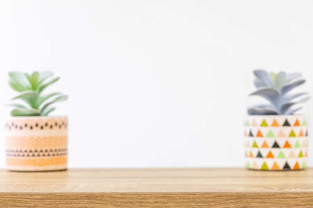Blurred background concept, stylish mini plant on workspace for home or office decoration with...
