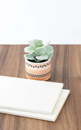 White cover books on wooden background with a little houseplant in minimalist concept designの写真素材