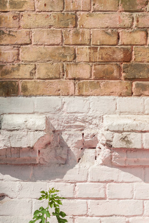 Vintage street brick background. Weathered texture of stainted old brik wall. Grunge rusty blocks. Urban wallpaper. Nature artistic texture. Urban art.の写真素材