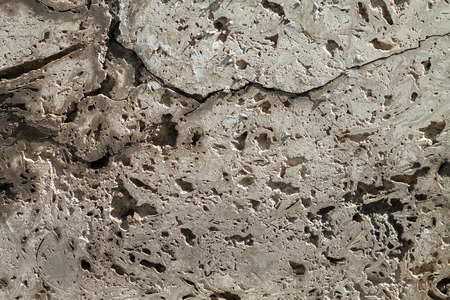 polished shell rock texture background