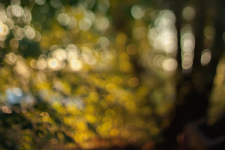 Blurry bokeh wallpaper. Fairy abstract background. Can be used as background for your design or as wallpaperの写真素材