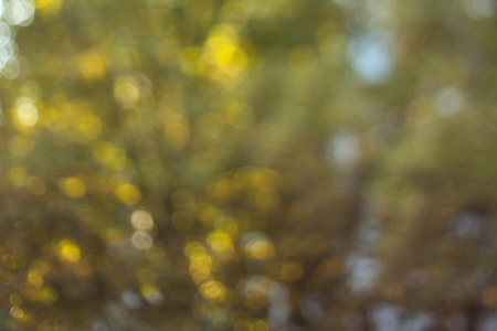 Blurry bokeh wallpaper. Fairy abstract background. Can be used as background for your design or as wallpaperの写真素材