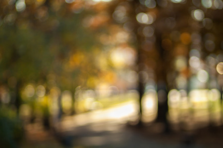 Autumn blurry backgroundの写真素材