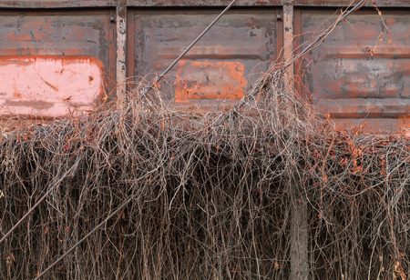 old freight wagon. texture of rusty painted metalの写真素材