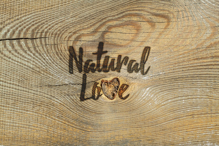 Love. Romantic card with natural backgroundの写真素材