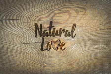 Love. Romantic card with natural backgroundの写真素材