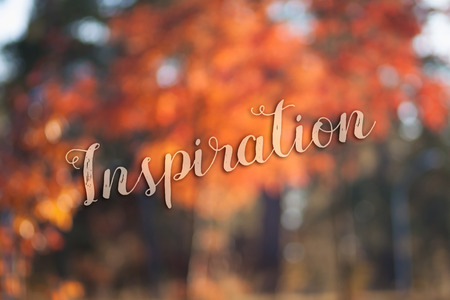 Autumn inspiration cardの写真素材
