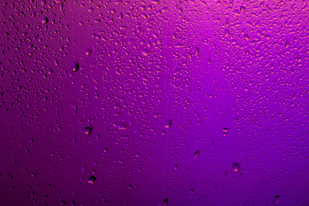 Rainy window. Drops on the glass.の写真素材
