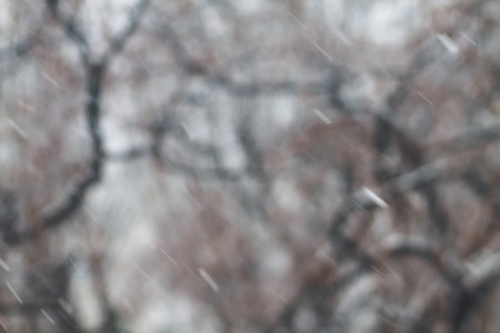 Winter snowy background