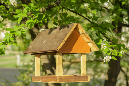 Birdhouse on the treeの写真素材