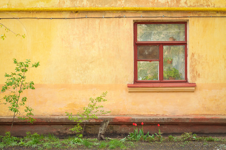 Windows of old the houseの写真素材