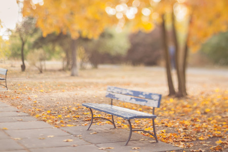 Old bench in the autumn park. Natural optical tilt shift photo.の写真素材