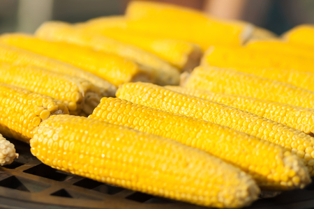 Grilled corn. Vegetable barbecue. Healthy street food.