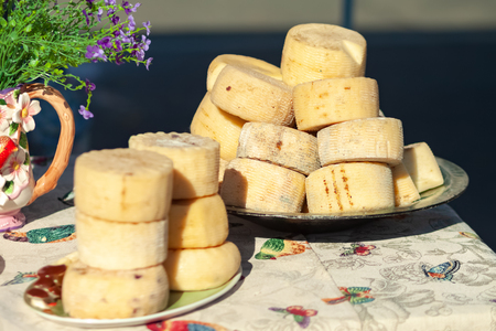 Farm organic cheese.の写真素材