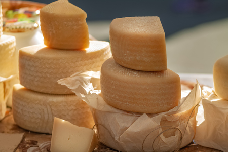 Farm organic cheese.の写真素材