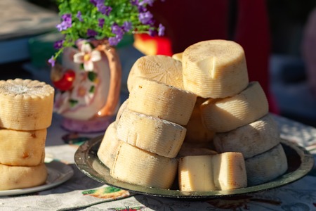 Farm organic cheese. Lots of cheese heads on a tray. Cheese Fairの写真素材