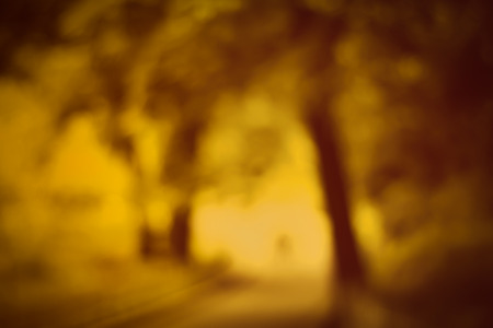 Mysterious autumn park. Natural blurry forest background.の写真素材