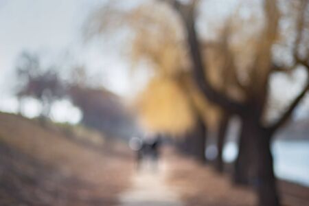 Cloudy morning in the park. Blurry autumn backgroundの写真素材