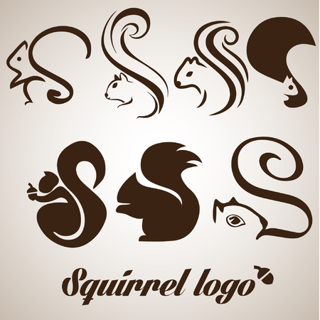 squirrel setのイラスト素材