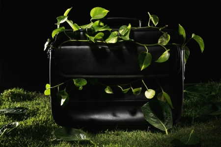 Briefcase wrapped up in leaves