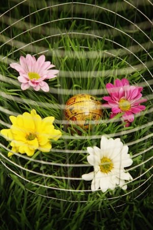 Globe and flowers surrounded by wire mesh on grass
