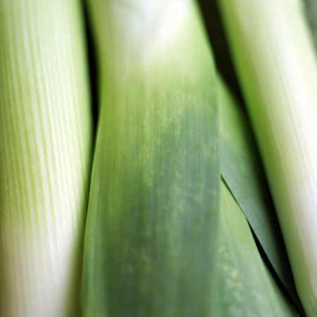 High angle close up of leeks
