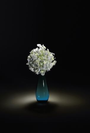 Flowers in a vase