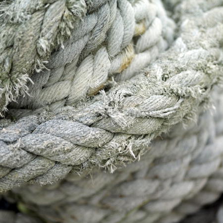 Close-up of ropes