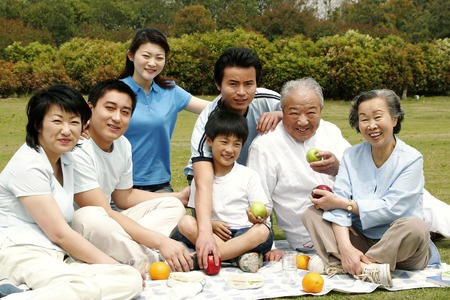 A big family picnicking in the park