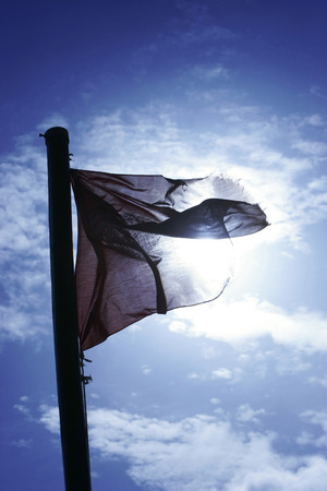 Flag