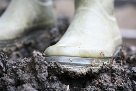 Gardening bootsの写真素材