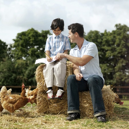 Man assisting boy in drawing a picture of a chickenの写真素材