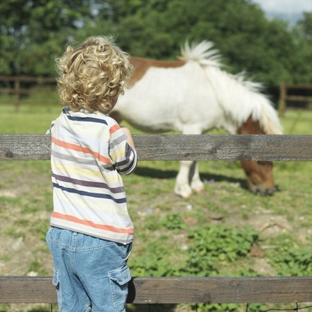 Boy looking at pony in a farmの写真素材