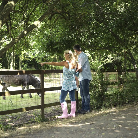 Man, woman and boy at a farmの写真素材