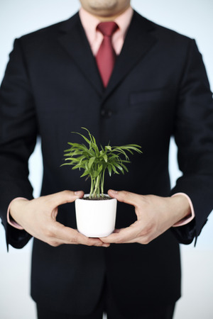 Businessman holding potted plantの写真素材