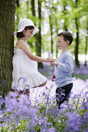 Boy giving girl flowerの写真素材