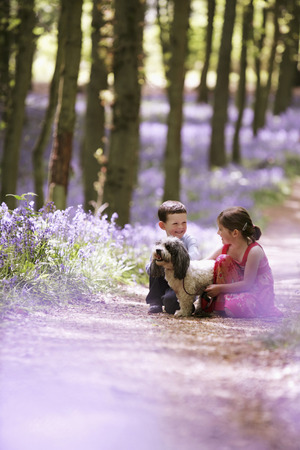 Boy and girl playing with their pet dogの写真素材