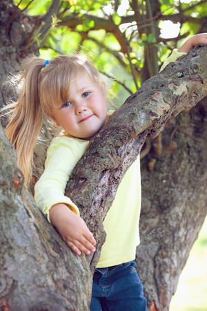 Girl climbing on a treeの写真素材