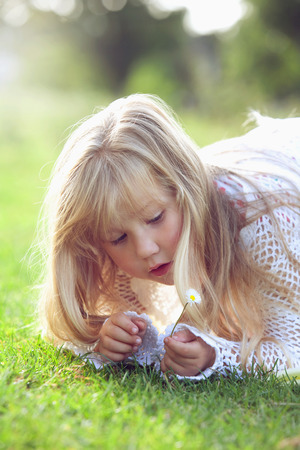 Girl holding a small daisyの写真素材