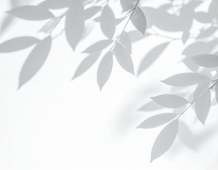 Leaves shadow on white wall background. White and black tone.の素材