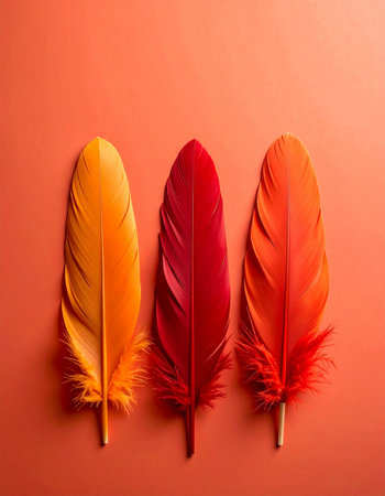 Three colorful feathers on a red background. Flat lay, top view.の素材
