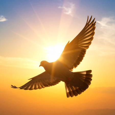Silhouette of a flying pigeon on a background of the sunsetの素材