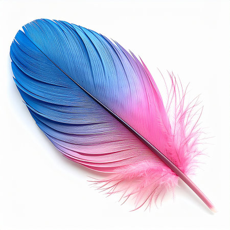pink and blue feather isolated on white background, clipping path includedの素材