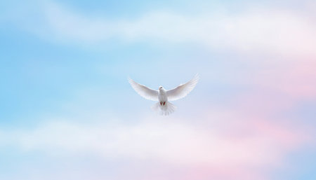 Flying white dove on blue sky background. Freedom and peace concept.の素材