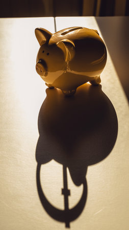 Piggy bank with shadow on the floor. Selective focus.の素材