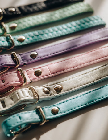 Colorful leather belts on a white background. Selective focus.の素材