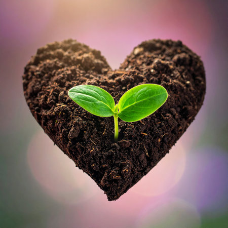 Plant growing in the soil with heart shape on bokeh backgroundの素材