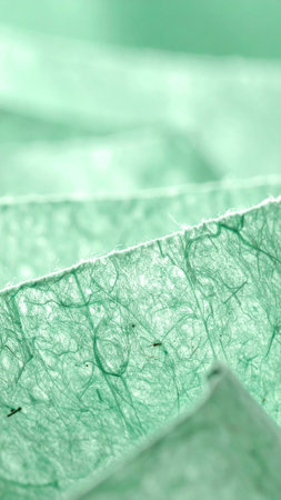 close up of mulberry paper texture for abstract background. macro.の素材