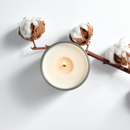 Burning candle with cotton branch on white background, top view. Space for textの素材